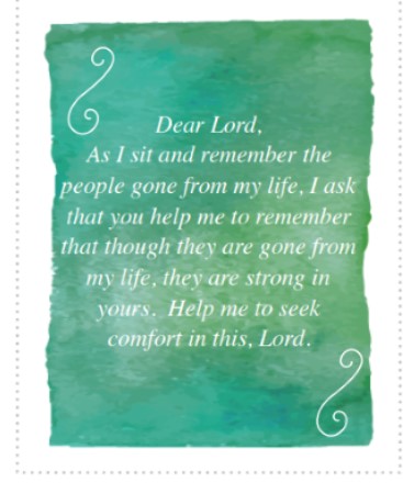 Picture16