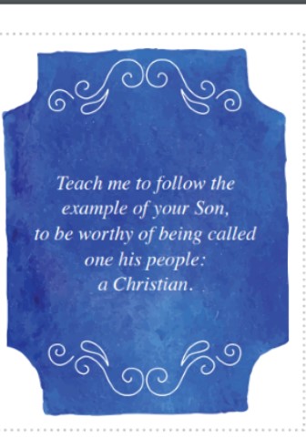 Picture37