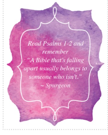 Picture9